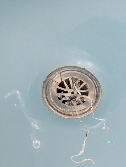 Two spider legs protruding from the grill of a bathtub drain with some cobwebs around