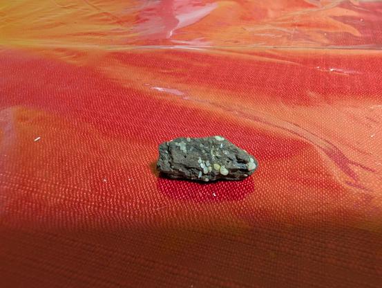 A small pebble consisting of light colored clasts, some rounded and others more angular, in a gray to purplish matrix. The clasts are protruding slightly from the matrix.