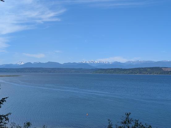 Longer shot of the previous image showing more of the water