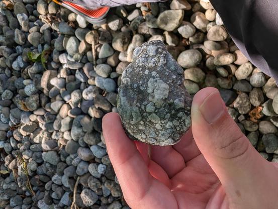 Rounded rock about 3x5 cm compromised of small clasts in a matrix