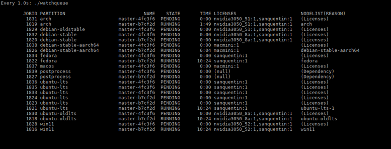 SLURM status display showing a bunch of pending CI jobs