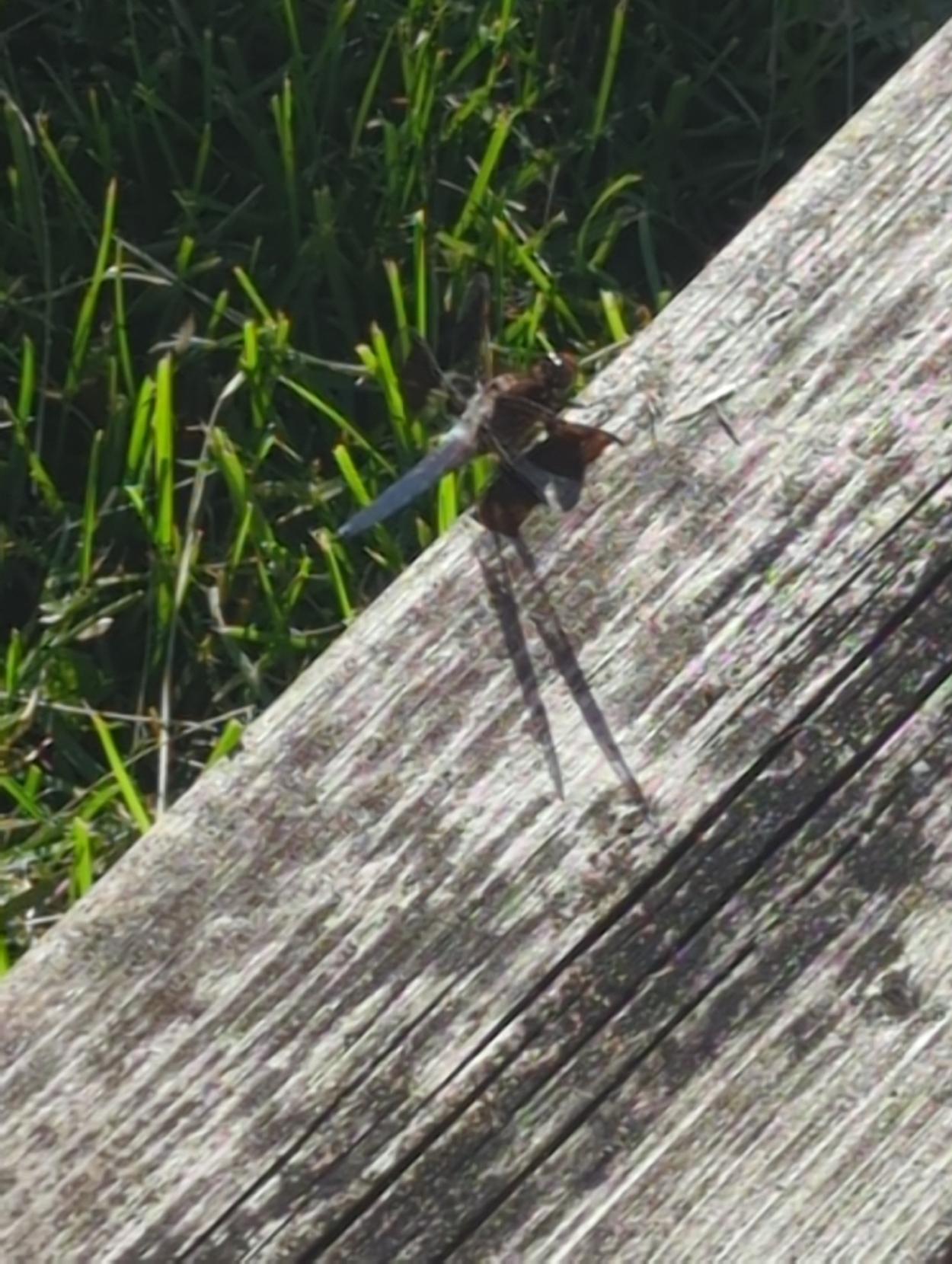 ..zooming out showing the step