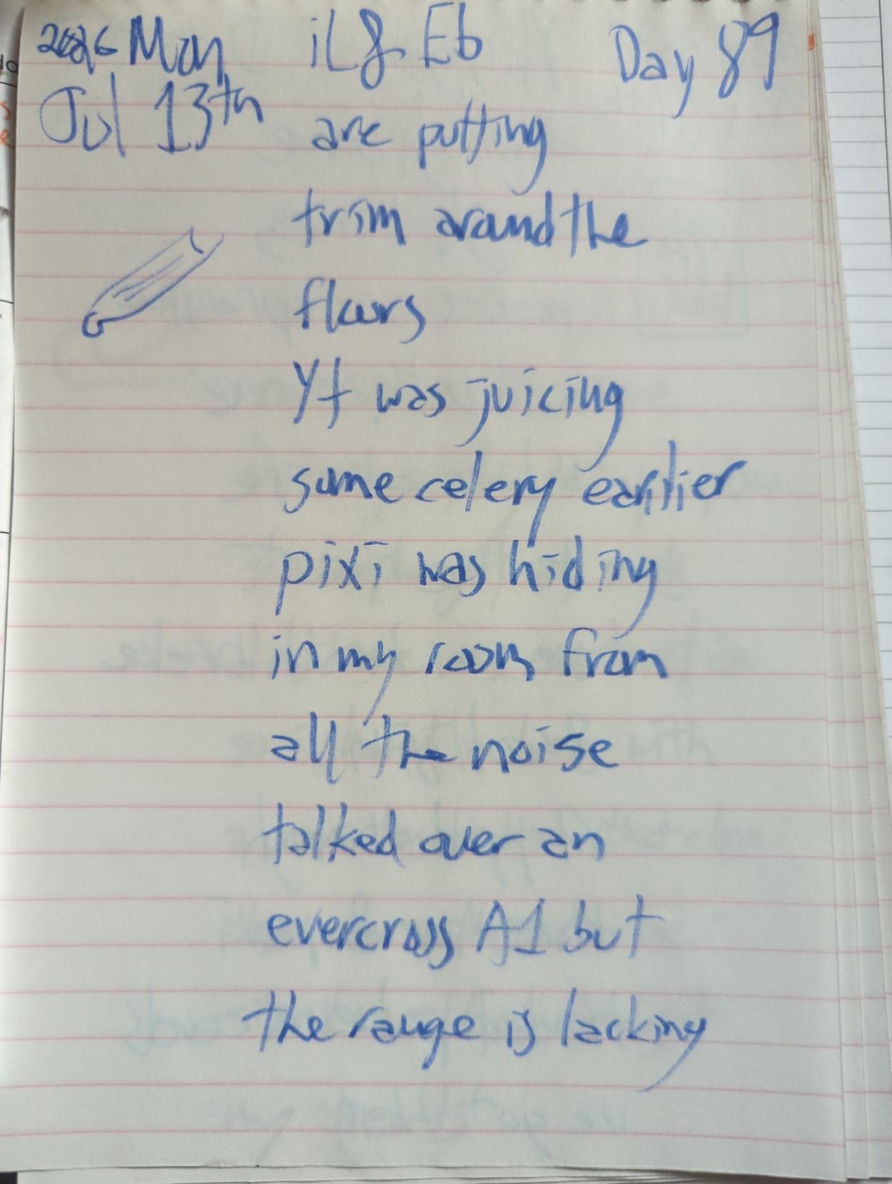 (celery sketch)

iL & Eb are putting trim around the floors

Yt was juicing some celery earlier

pixi was hiding in my room from all the noise

talked over an evercross A1 but the range is lacking