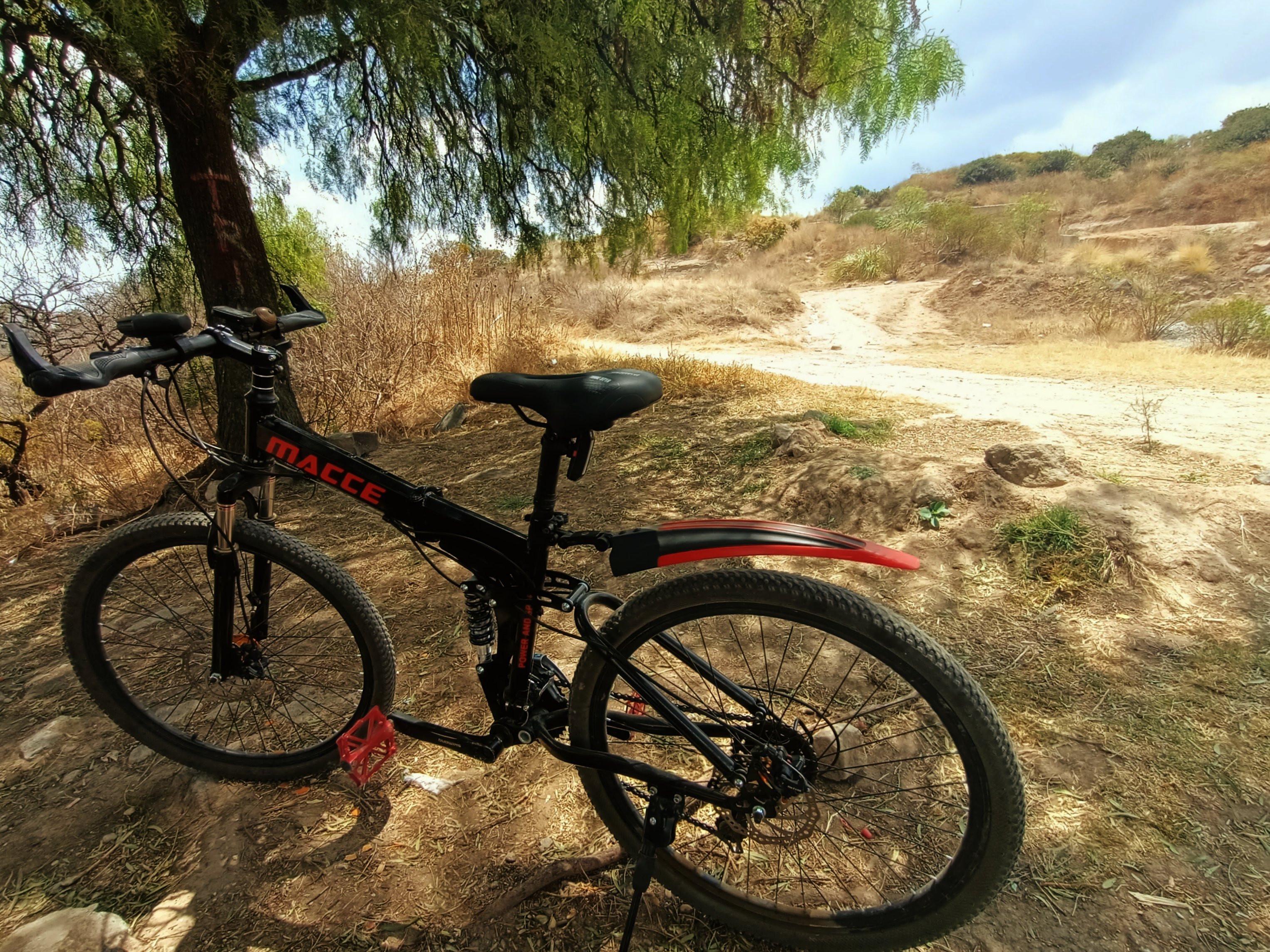 a photo of my humble bicycle standing in front of a tree surrounded by hill trails
