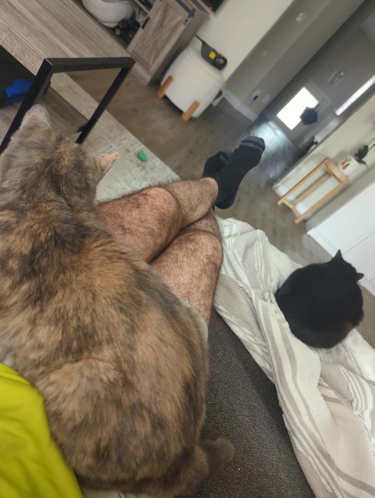 .. now Mini has joined us on the catouch