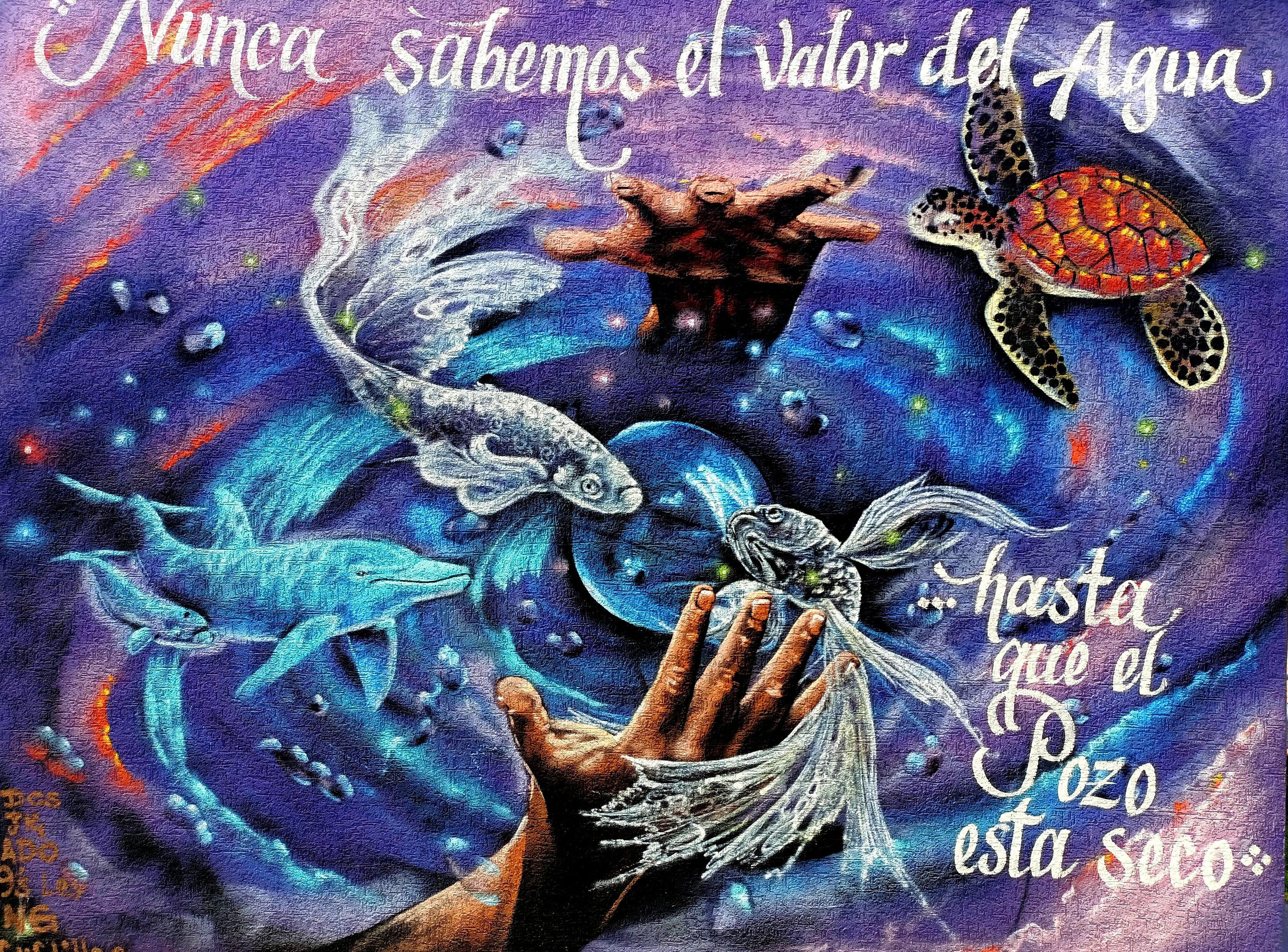 a street art on a wall about the value of water.