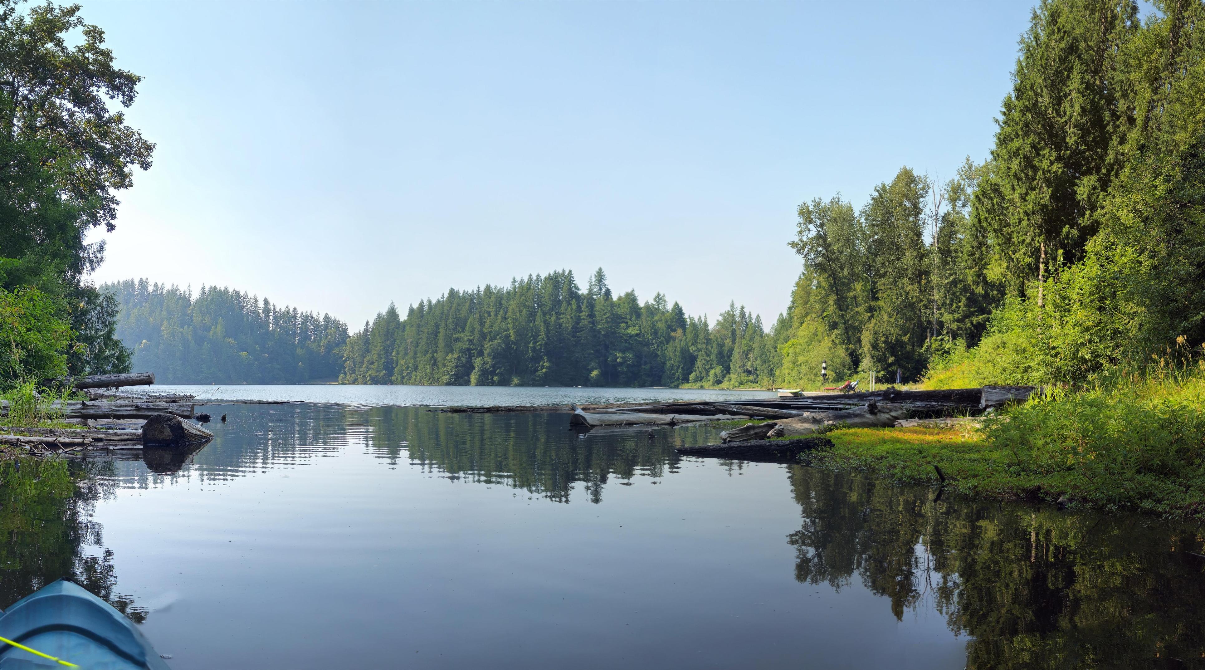 View from a kayak on a calm lake. Pale, slightly hazy blue sky over forested shorelines of conifers and leafy green trees, both banks mirrored almost perfectly in the glassy water. Weathered grey driftwood logs line the near-left shore and a grassy bank on the right. A red camp chair and small boats sit on the far shore. The blue bow of the kayak enters the frame at lower left.
