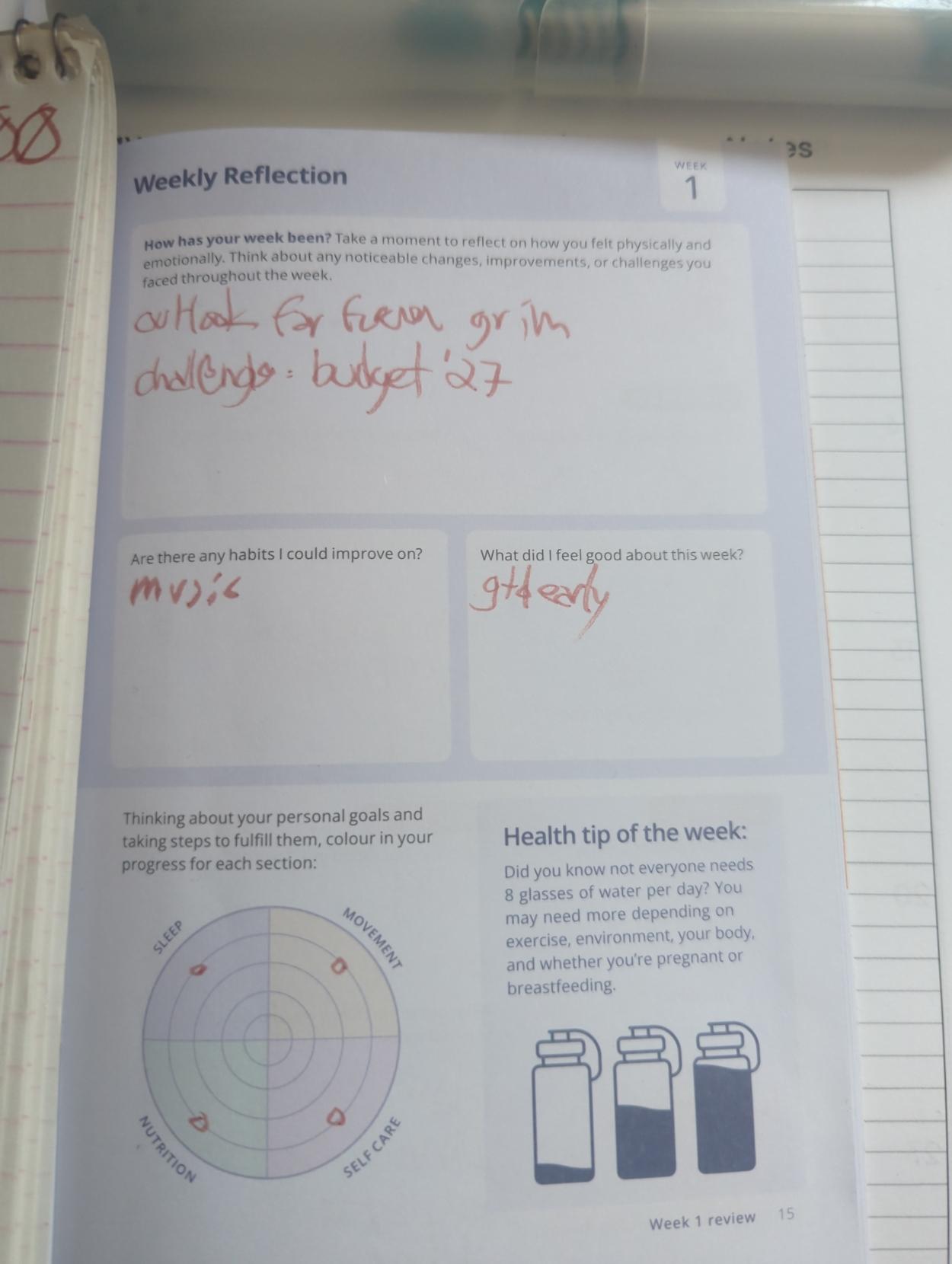 Week:

outlook far from grim
challenge: budget '27

music

gtd early

goal progress chart