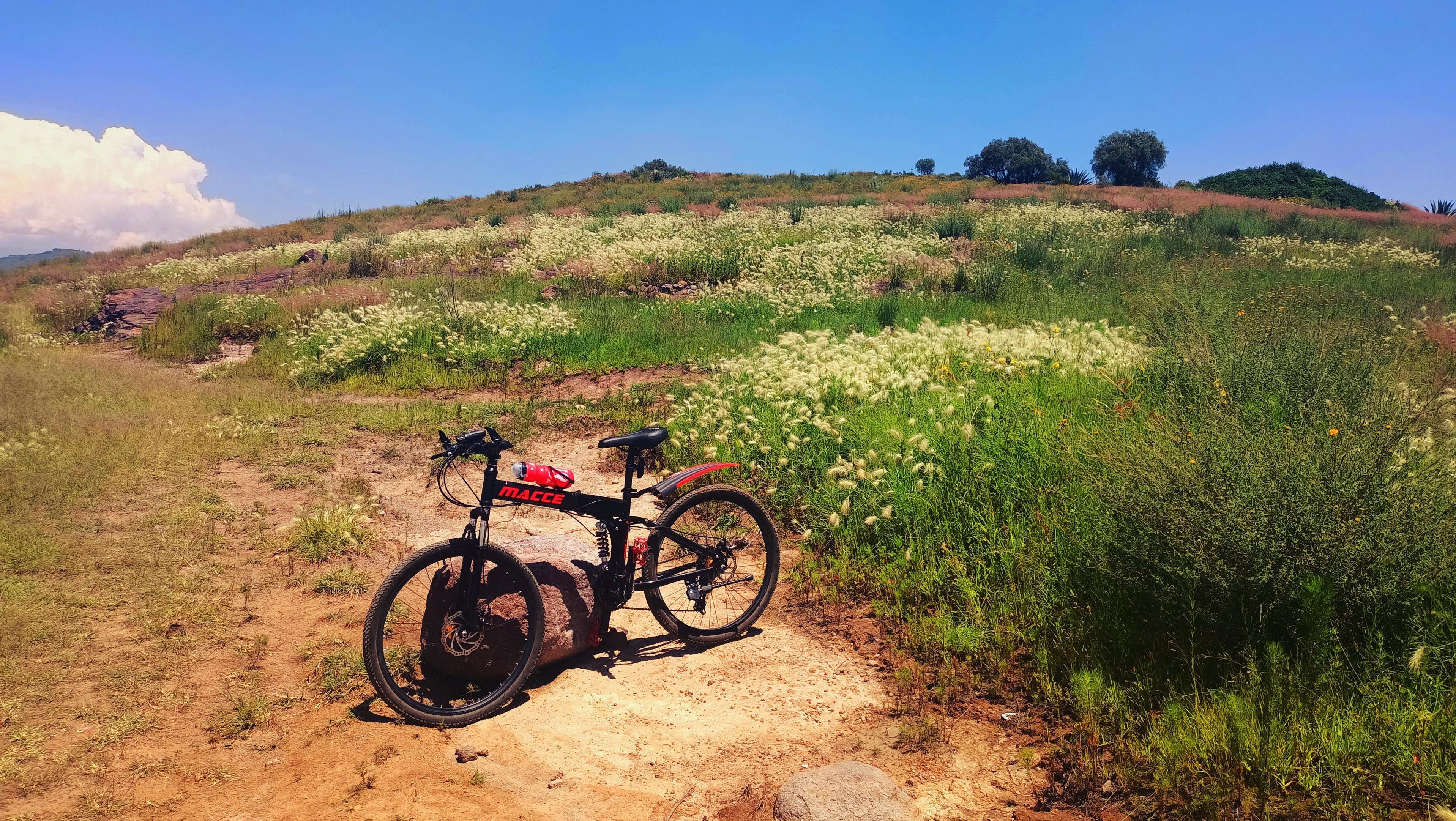 a photo of my bike leaning on a stone on the hill and plants around.
