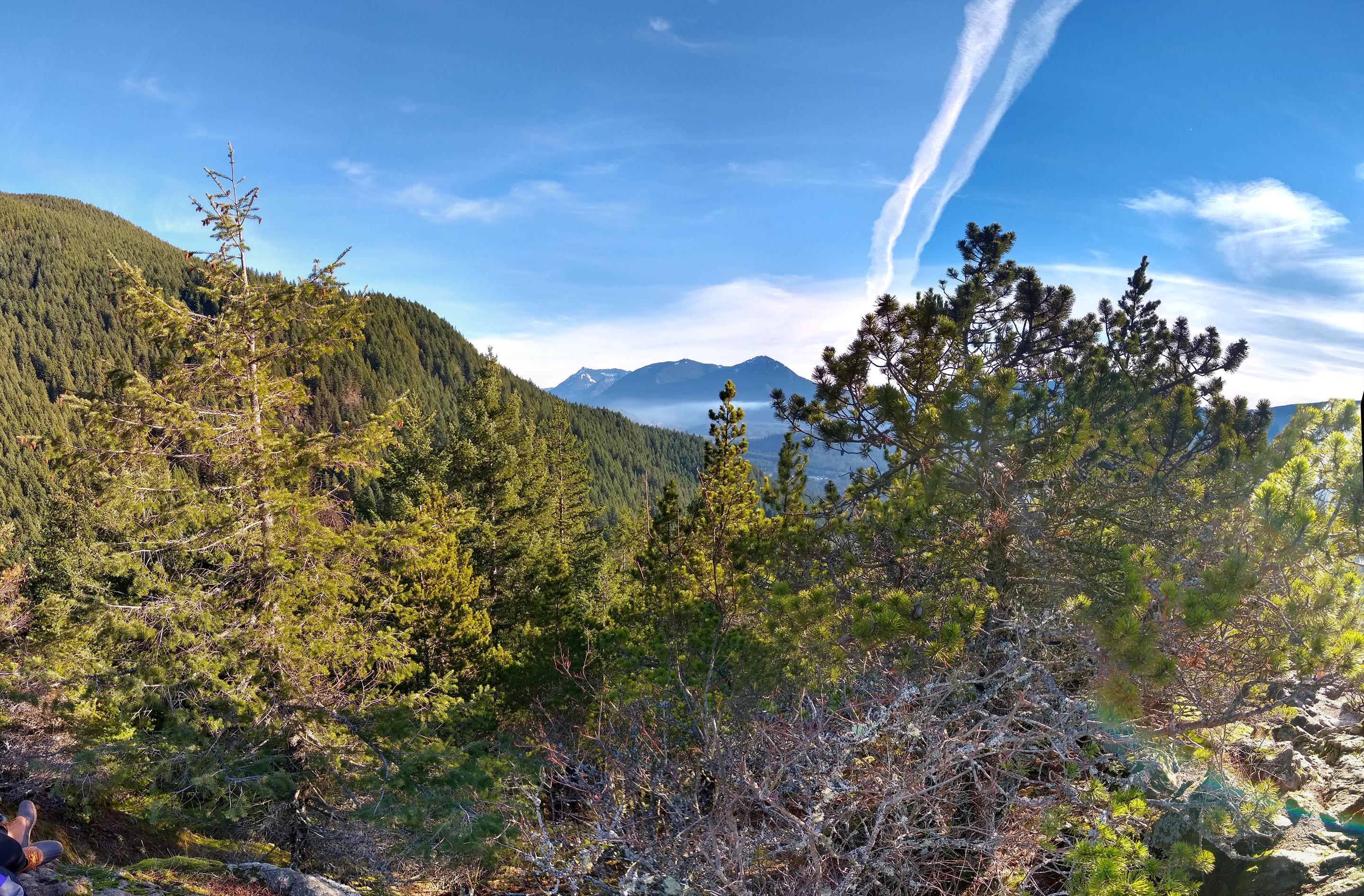 Wide panorama from a rocky viewpoint on Little Si near North Bend, Washington, taken on a clear winter morning. Forested ridges of Douglas fir slope down from the left and right toward a valley in the center, where a low layer of fog sits below a snow-dusted peak on the horizon. The sky is deep blue with thin high cirrus and a bright contrail crossing the upper right. Scrubby pines, bare branches and lichen-covered rock fill the foreground. The toe of a hiking boot is visible in the bottom left corner.