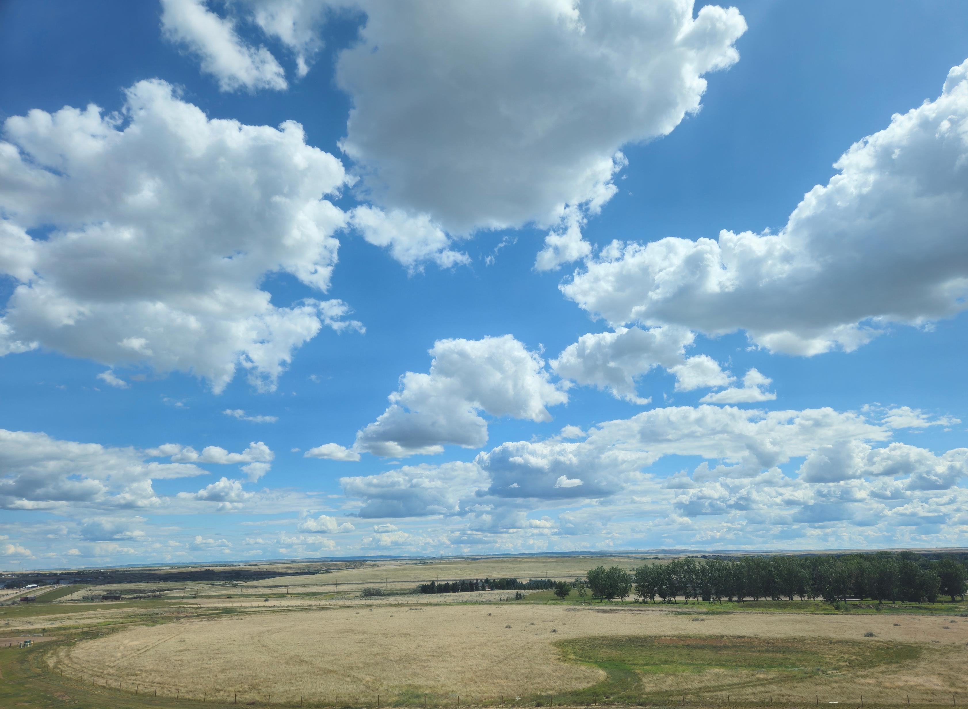 Wide view across the Alberta prairie near Medicine Hat. The upper three quarters of the frame is deep blue sky filled with scattered white cumulus clouds, large and billowing overhead, shrinking toward a flat horizon. Below, pale gold and green grassland stretches to distant low bluffs, broken by a windbreak row of dark green poplars, scattered power poles, a fence line, and a small cluster of buildings and a highway off to the left.