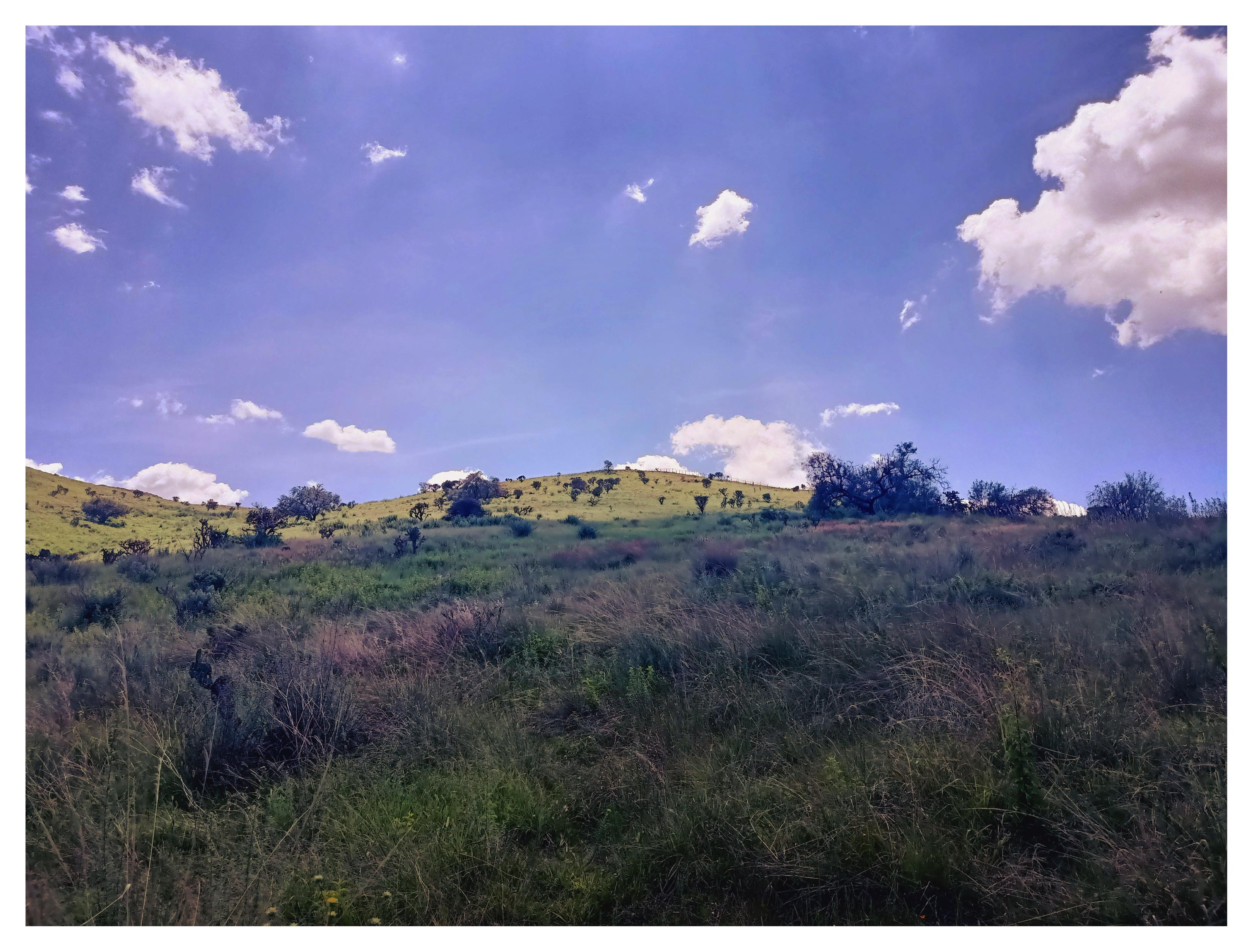 a photo from above of a hill among all the trees and bushes where the fresh air can be felt.