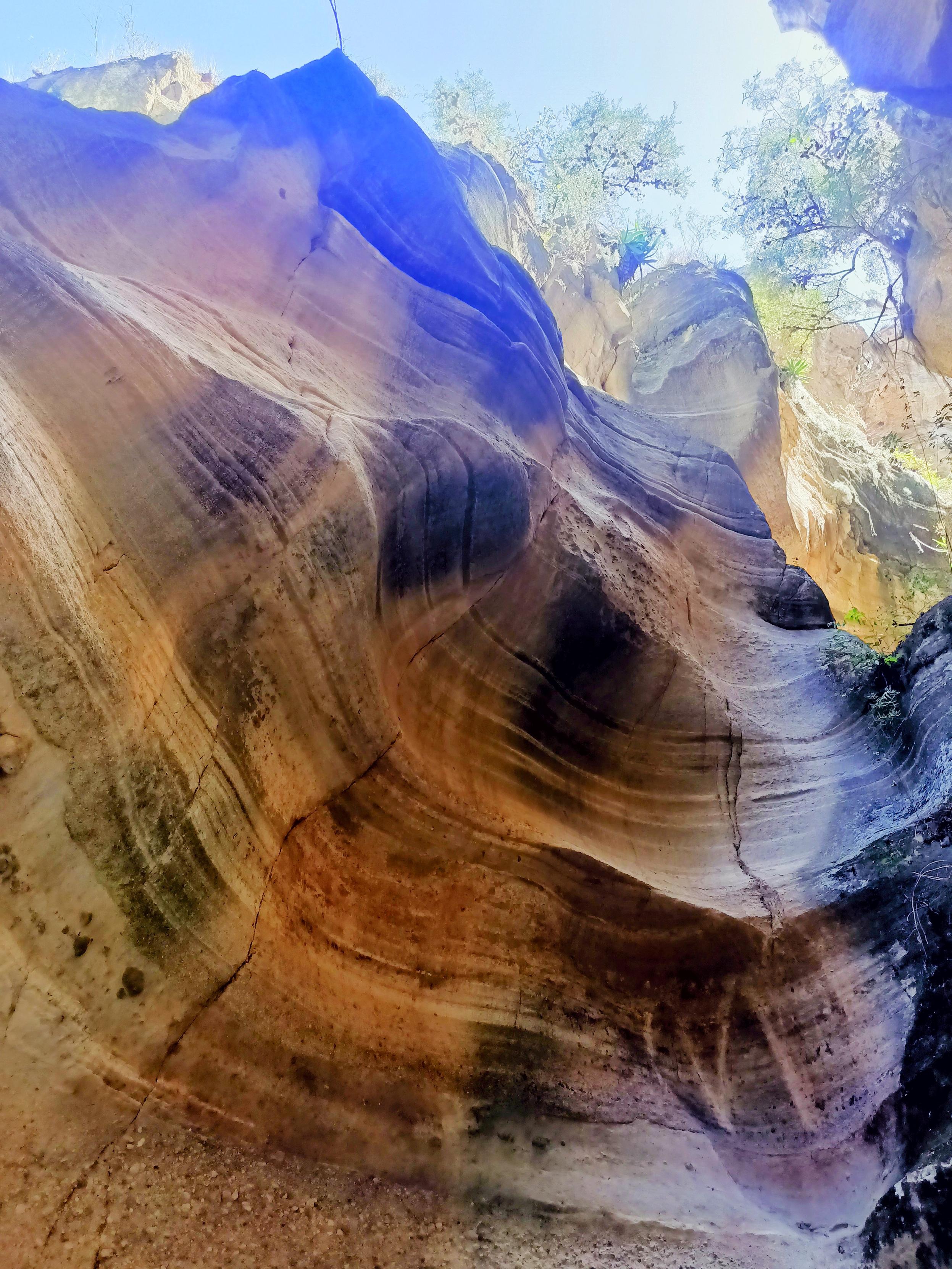colors and texture of nature over the rocks