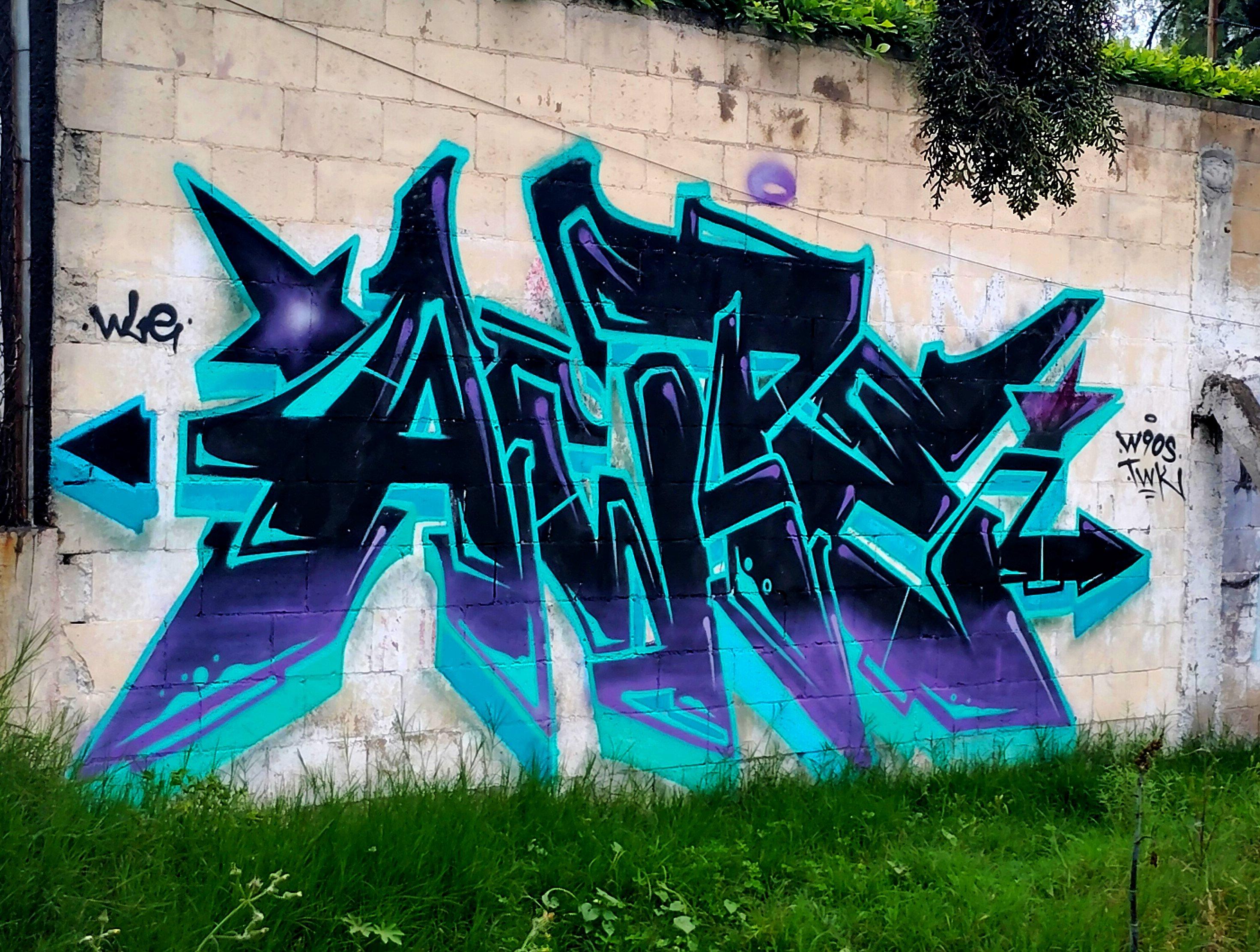 just a graffiti which I took a photo while I was on a bridge and after crossed it, it is the first thing to be seen.
