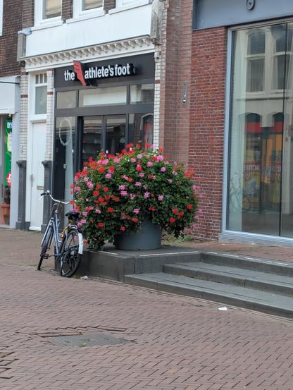 Store, presumably selling footwear, called "the athlete's foot".

Where I'm from "athlete's foot" is a fungal skin infection