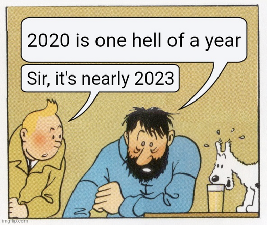 Meme with Tintin, Snowy and Captain Haddock in a Bar: Captain Haddock: "2020 is one hell of a year". Tintin: "Sir, it's nearly 2023"