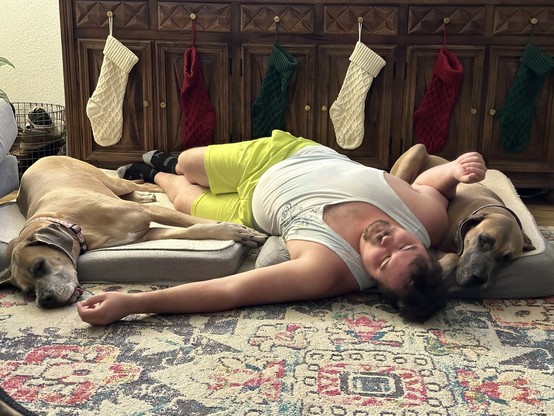 A person in a white tank top and yellow shorts lies on the floor with two large dogs resting on dog beds. The background features a wooden cabinet with Christmas stockings hung on it. The floor has a patterned rug.