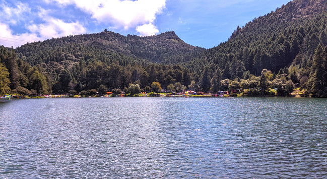 a landscape photography of "El Cedral" dam in Hidalgo Mexico, where there are protected pine trees. 