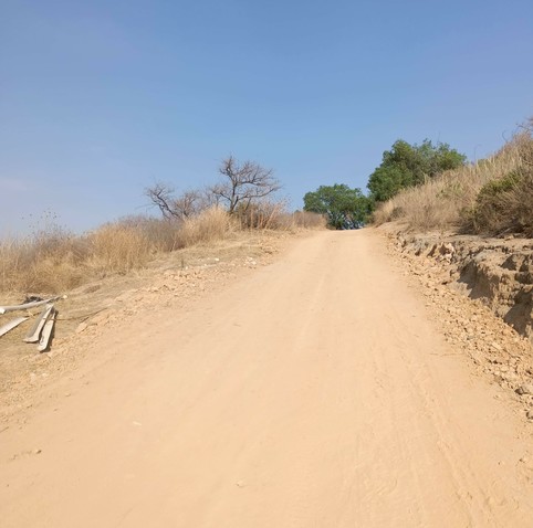 a semi-arid climb to the local hills, a nice place to excersice by hiking or biking.
