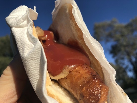 A democracy sausage in the wild on election day. 