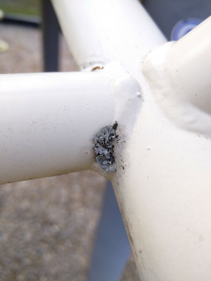 A faded yellow playground structure, now sun bleached white, with a small gray lichen nestled in a corner