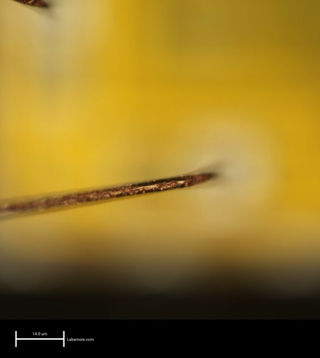 High magnification view of a single bond wire showing relatively intact copper surface