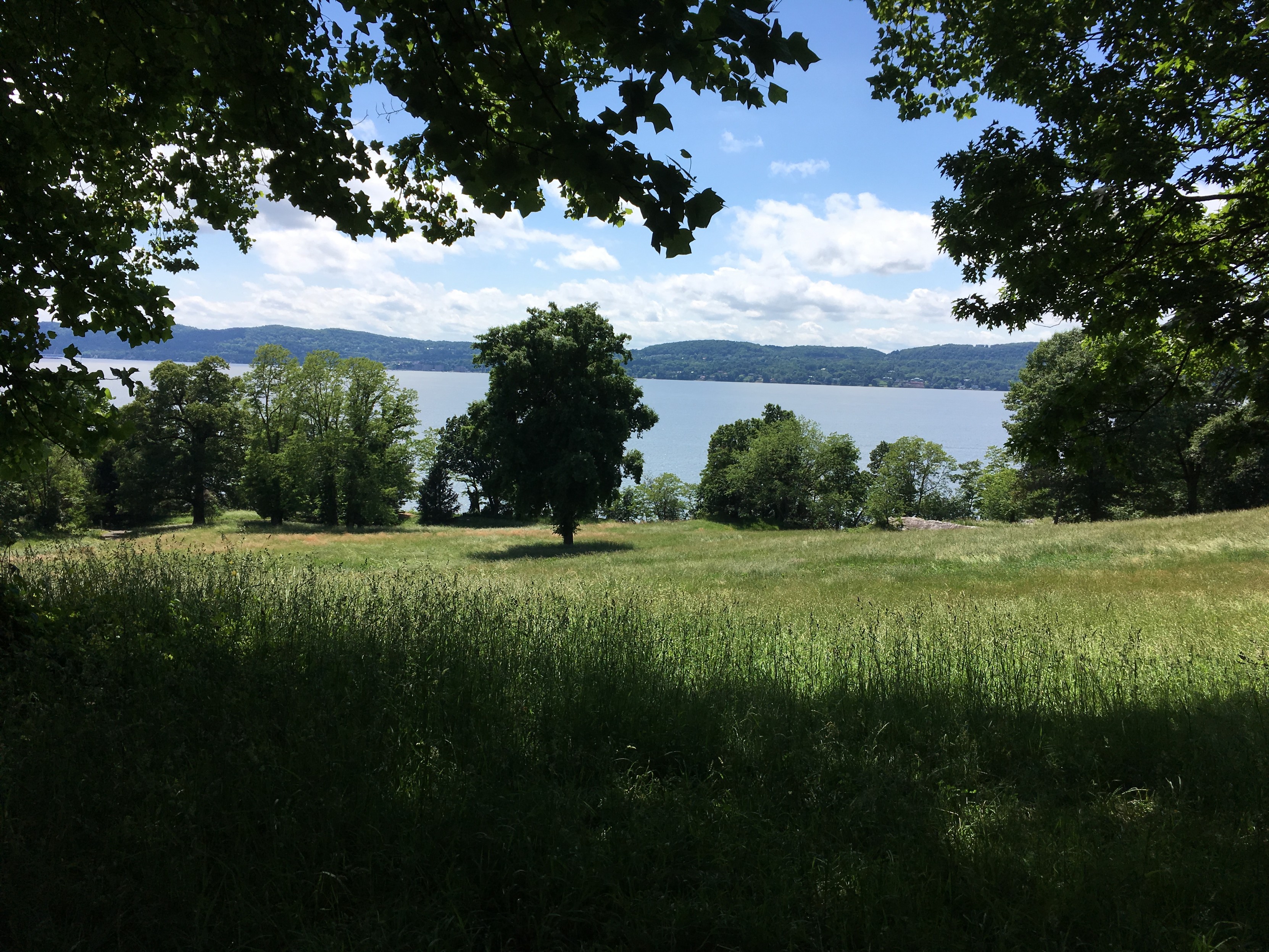 A field above the Hudson river, in summertime, with leaves on all the trees.
