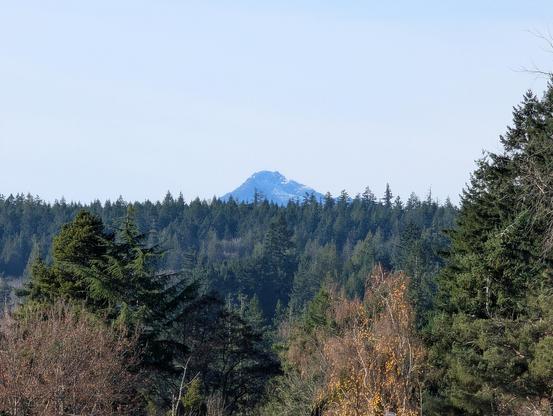 A snow capped mountain silhouetted against the sky with a ridgeline of evergreen trees in the foreground