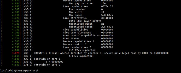 Serial console log showing RISAF5 catching an illegal access to the PCIe MMIO region