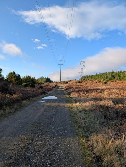 Two parallel rows of 3-phase transmission towers, one of single poles and one of large steel trusses, disappearing into the distance from a viewpoint on a gravel road roughly in line with the left row.

The immediate surroundings are low grassy meadow with taller evergreens off to either side.