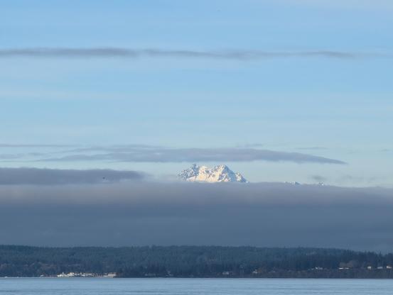 A single tall snow capped mountain poking out from a cloud layer