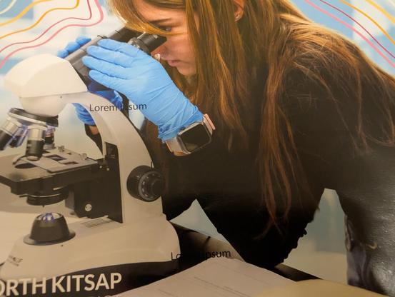 Closeup showing "lorem ipsum" text all over the page