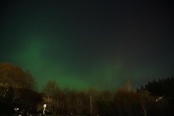 Green aurora glow lighting up the sky above a tree-lined dirt parking lot