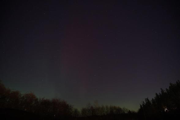 Red and green aurora glow above tree-covered hills  silhouetted against the sky